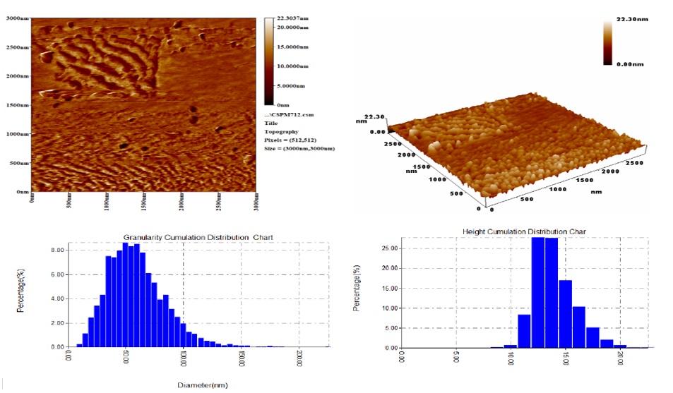 AFM image of Au nanofilm layer deposited at 10-second sputtering time