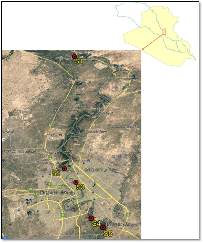 Study area and sampling locations 