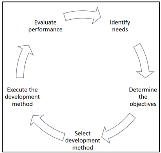 Employee development process