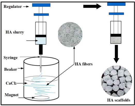 The preparation of HA Fiber scaffolds by sol-gel method