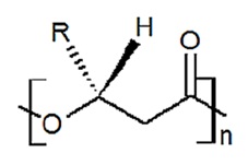 Structure of PHA 