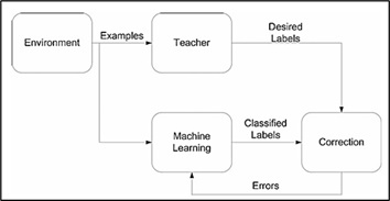 The supervised learning process