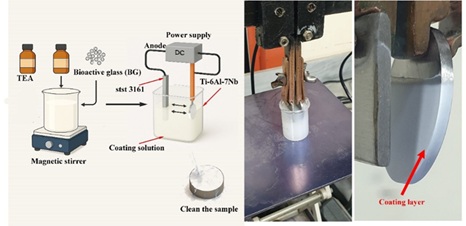The electrophoretic deposition (EPD) process for coating Ti-6Al-7Nb substrates with bioactive glass (BG)