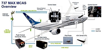 Diagram showing components of MCAS