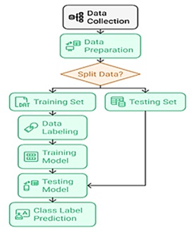 General stages of the proposed method
